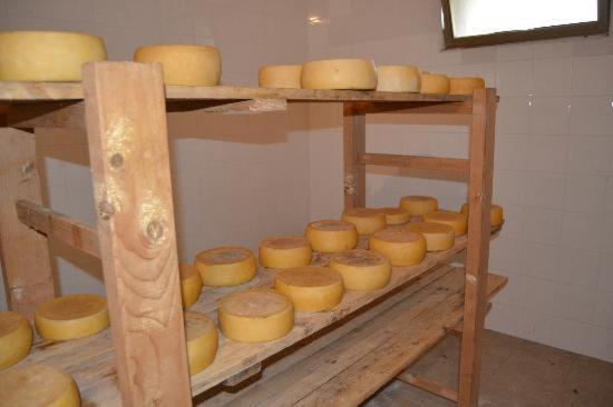 툴라다 Agriturismo E Antica Fattoria Matteu B&B 외부 사진