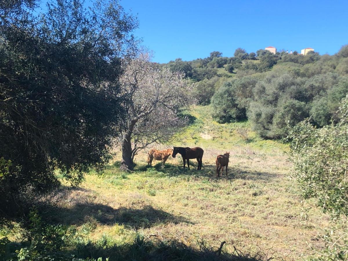 툴라다 Agriturismo E Antica Fattoria Matteu B&B 외부 사진